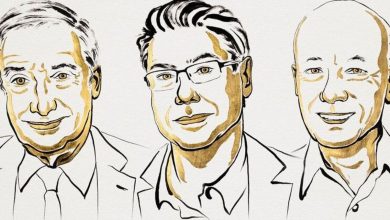 Who are Joel Mokyr, Philippe Aghion and Peter Howitt-Nobel laureates for innovation-driven economic growth