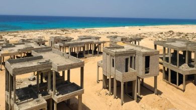 Egyptian “Sodic” targets 200 billion pounds in sales in its joint project with “medar”