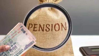 The government has stopped social security pension of more than 3 lakh people, see the order for revenue verification in the video