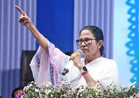 Mamata Banerjee said in Durgapur Rape case: ‘My statement is being distorted’