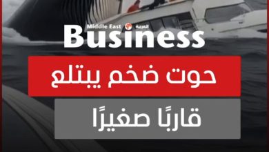تداول رواد مواقع التواصل مقطعًا يحبس الأنفاس يُظهر لحظة ابتلاع حوت ضخم لقارب صغير في عرض…