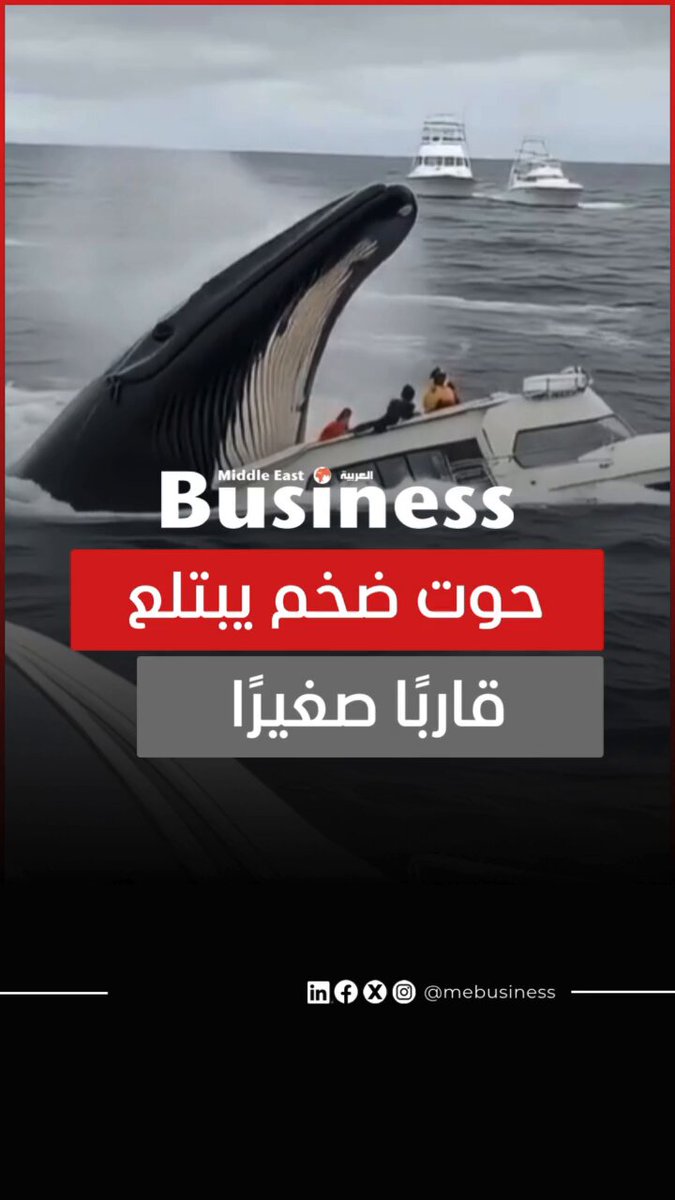 تداول رواد مواقع التواصل مقطعًا يحبس الأنفاس يُظهر لحظة ابتلاع حوت ضخم لقارب صغير في عرض…