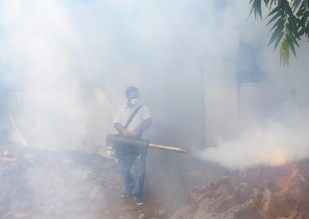 Dengue outbreak in Manipur: 2,343 positive cases and one death in 2025