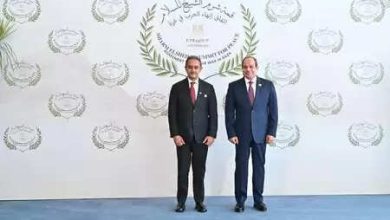 Minister of State Kirti Vardhan Singh met Egyptian President Sisi
