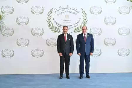 Minister of State Kirti Vardhan Singh met Egyptian President Sisi