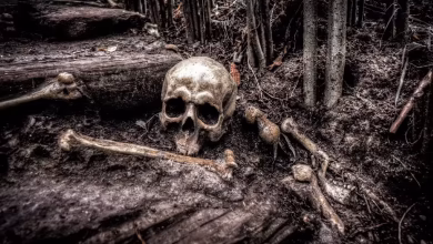 Most narrow places in the world: Four such places where the shadow of death always remains knows which places are.