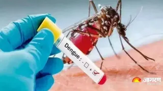 Dengue reached a devastation in Ghaziabad, the number of patients in the district 200; Condition of seven worsened – Dengue cases rise in Ghaziabad over 200 cases reported