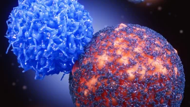 New hope for prostate cancer patients. Discovering a loophole that weakens cells and improves treatment results