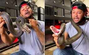 Python tightens man, tries to escape, horrible video going viral