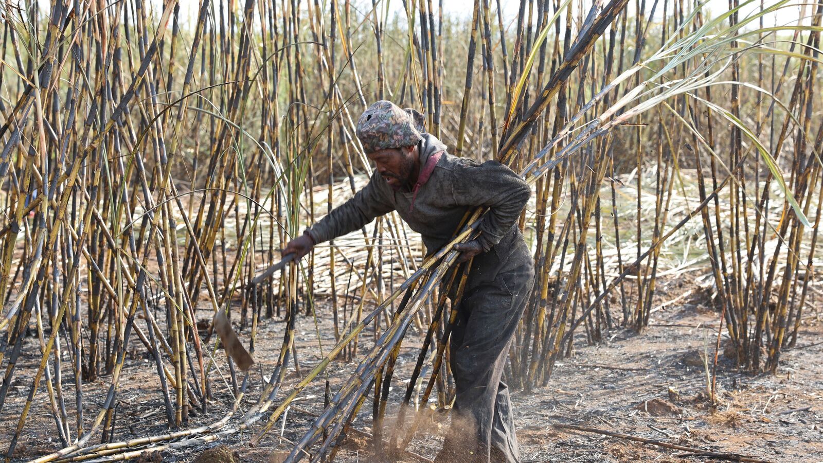 Govt’s move to regulate Khandsari Sugar units see a weak start