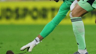 جرذ يخطف الأنظار في اللقاء الذي جمع بلجيكا مع ويلز في التصفيات الأوروبية المؤهلة لكأس العالم