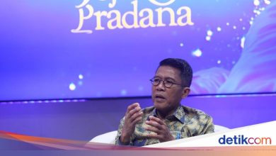 Chairman of Commission XI DPR explains the role of checks and balances in the Prabowo era