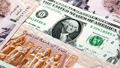 صندوق النقد يكشف توقعاته لسعر صرف الجنيه المصري في 2025 و2026