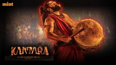 Kantara Chapter 1 Box Office Collection Day 13: Rishab Shetty-Stars Beats Lifetime Collection of Salman Khan’s Tiger 3