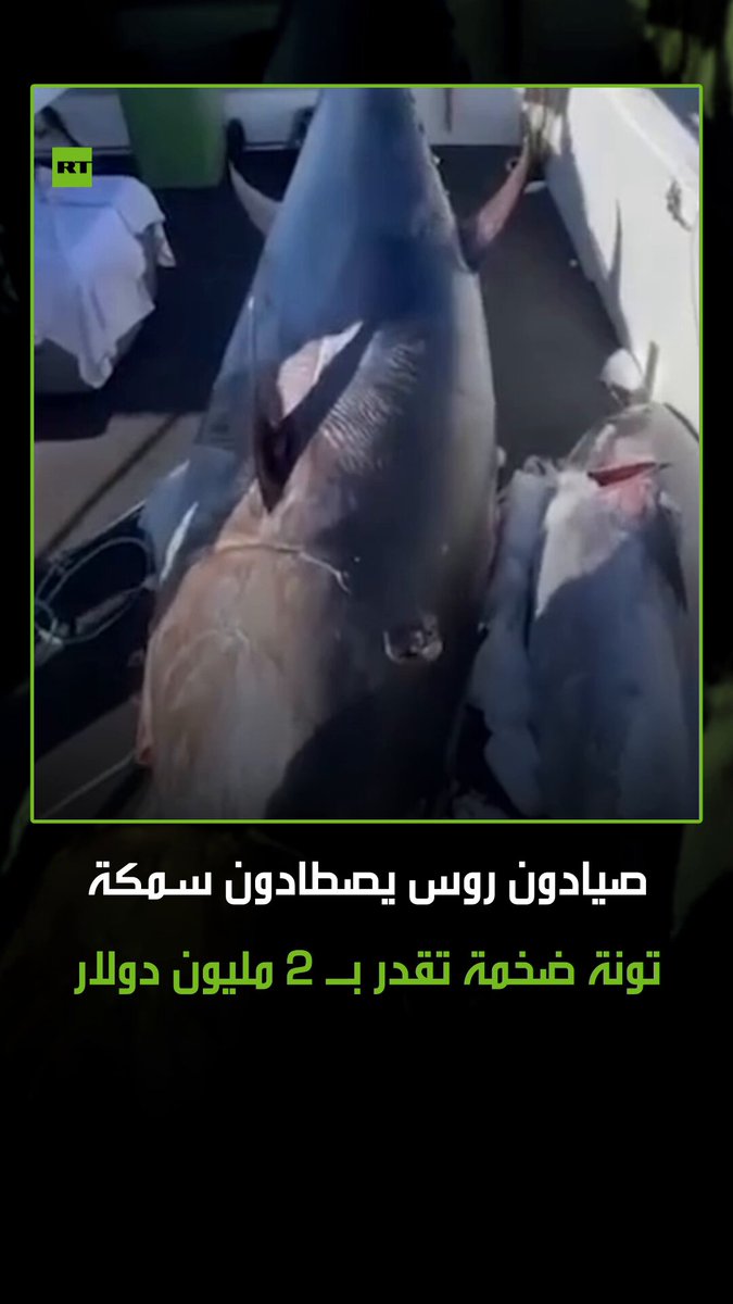 قيمتها تقارب 2 مليون دولار.. نجح صيادون روس في صيد سمكة تونة عملاقة تزن أكثر من 284 كغ قرب جزر…