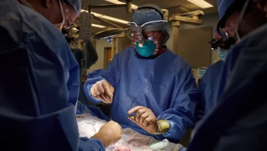 A promising experiment in organ transplantation. Scientists manage to change the blood type of a kidney