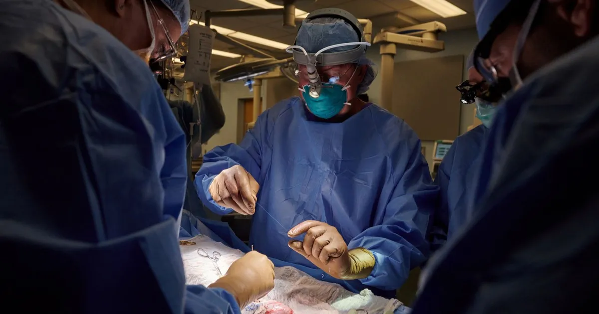 A promising experiment in organ transplantation. Scientists manage to change the blood type of a kidney