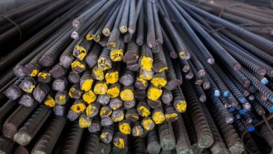 Ezz steel still focuses on expansion in Egypt despite external occasions