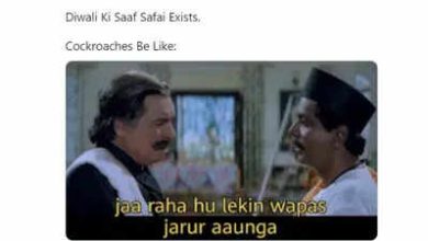 Trending Diwali Memes: Bored after cleaning? Look at these viral trending memes, you will get stomach pain, but you will not stop laughing.