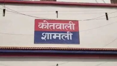 Up: Two robbers who committed robberies