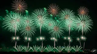 The Delhi government has made many rules regarding the sale of Green Firecrackers; This work will be done on the command of DM – Delhi DM to decide the sale of green fire worker Sirsa