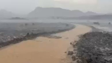 فيديو | هطول أمطار شرق محافظة أملج مساء اليوم (الأربعاء).. عبدالله السميري