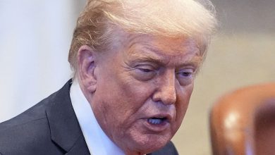 Trump hints Israel may re-enter Gaza if Hamas breaks ceasefire: ‘Israel is going back to the streets as soon as I say…’