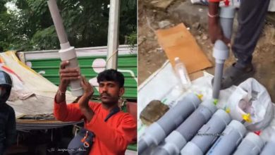 This Diwali, a new coconut has arrived in the market, everyone is asking where to get it?