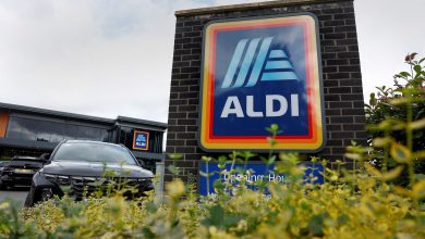 Get a Thanksgiving meal for 10 for just $40 as grocery store chain Aldi is offering big discounts to customers this year