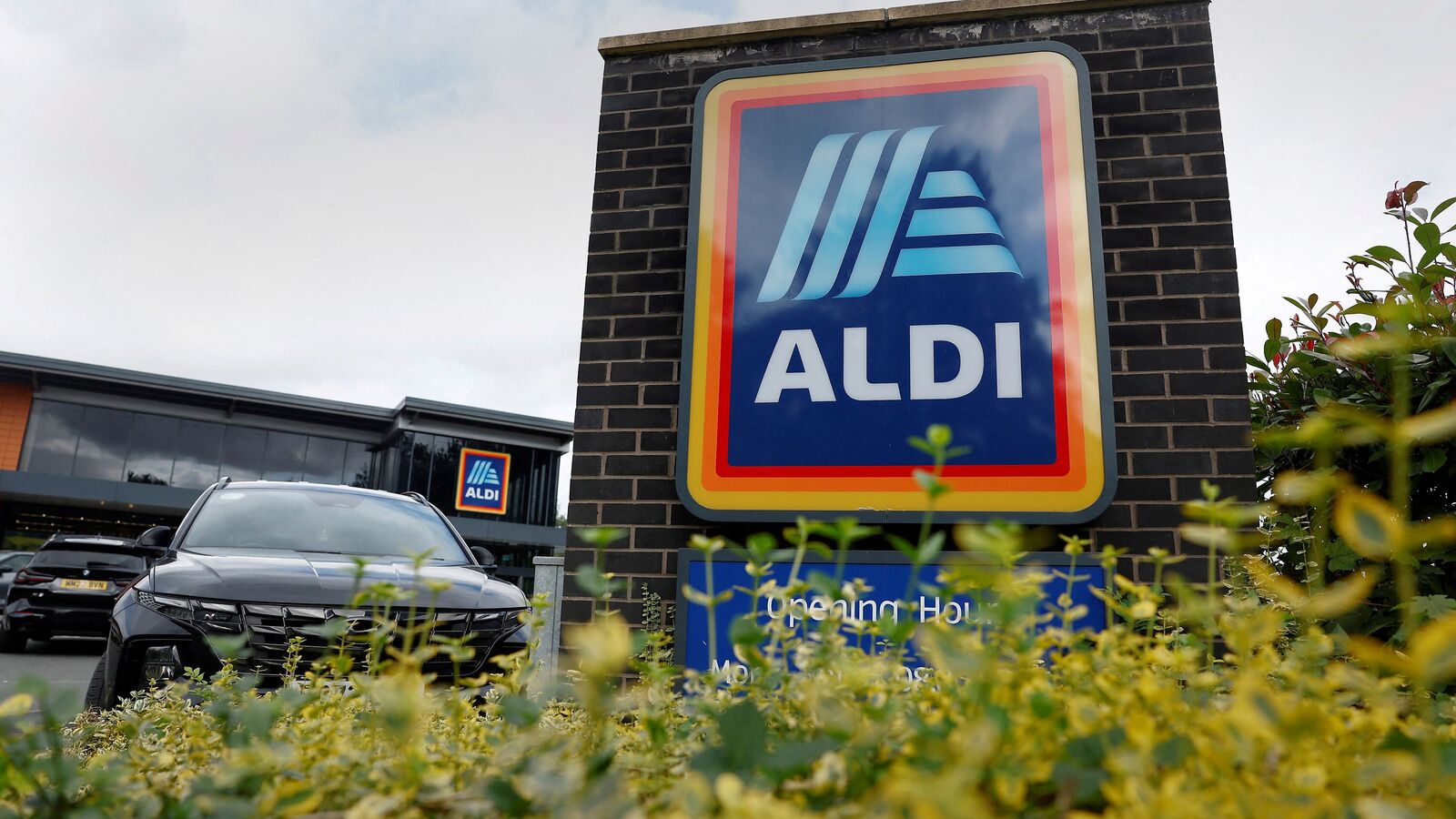 Get a Thanksgiving meal for 10 for just $40 as grocery store chain Aldi is offering big discounts to customers this year