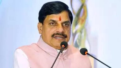 Celebrate Govardhan Puja with local traditions and rituals: CM Mohan Yadav