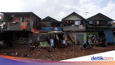 International Day for the Eradication of Poverty 2025: Origin and Theme of the Year