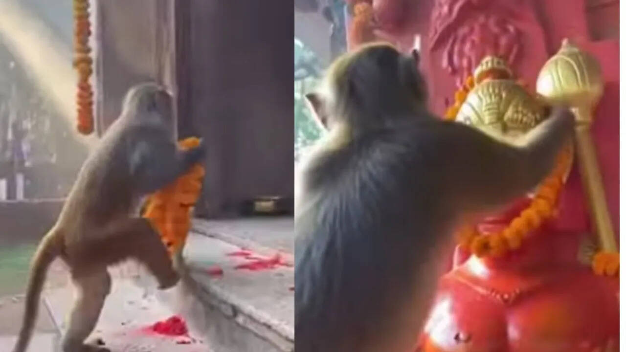 Aap got emotional in front of Bajrang Bali, showed devotion by slinging him