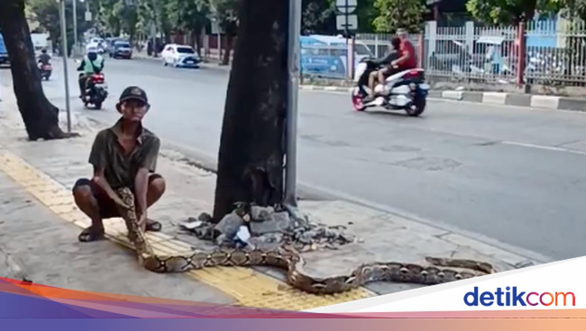‘Snake killer’ Elderly say motorbikes no longer dare to cross pavements