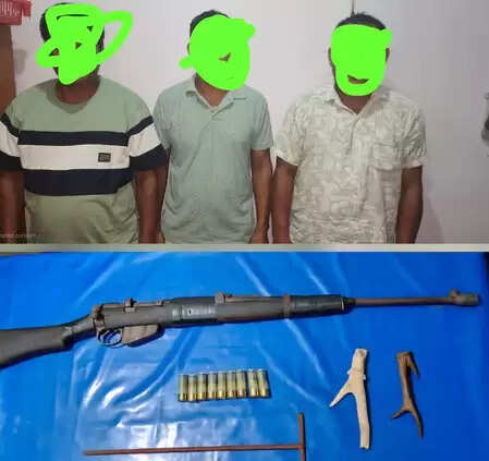 Rhino poaching fails in Kaziranga, Assam, three arrested