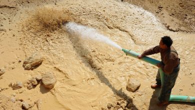 Allies united against China on rare earths