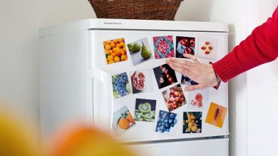 Can fridge magnets increase your electricity bill? Here’s what the experts say