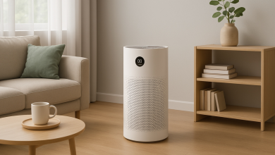Delhi NCR’s Air Quality Reaches Dangerous Level: How to Choose the Right Air Purifier in 2025