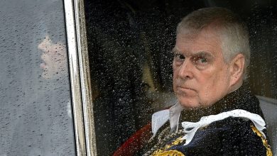 Prince Andrew renounces royal title ‘Duke of York’ amid ongoing Epstein scandal: ‘Will step back from public life’