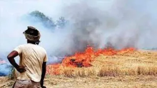 Stubble burning incidents increased in Punjab, total 188 cases found; Maximum 76 cases were registered in Amritsar – punjab stubble burning 188 cases reported amritsar leads