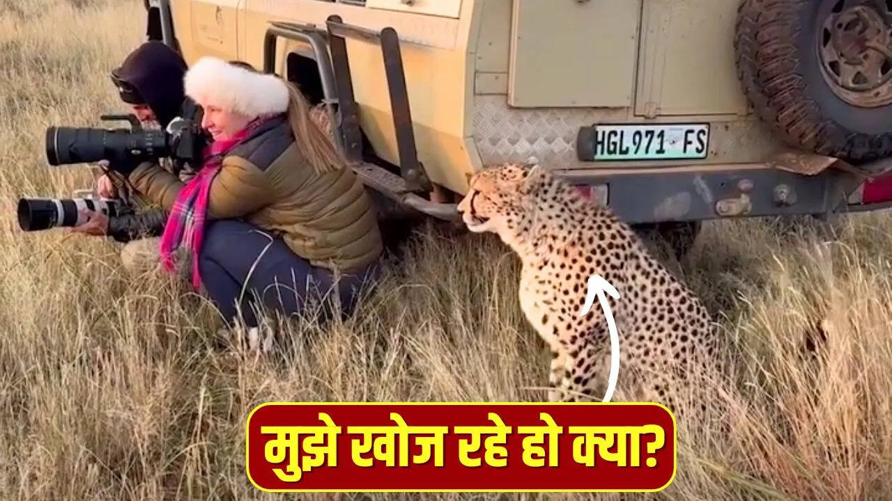 A woman was secretly taking pictures in the forest, a leopard came and sat next to her, what happened next
