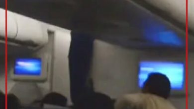 إبداع في الأجواء.. شابان مصريان يفاجئان الركاب بتحويل الطائرة إلى قاعة غناء