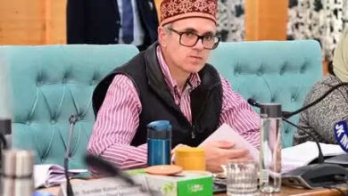 Jammu and Kashmir: CM Omar Abdullah also emphasized on giving new boost to tourism and horticulture sectors.