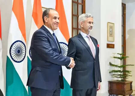 Growing India-Egypt relations will open doors for collaboration between the two countries in EV, renewable energy and fintech.