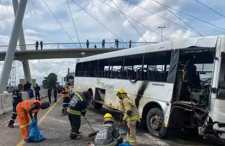 Who is responsible for the death of 43 people in a bus accident in South Africa? Great revelation in investigation