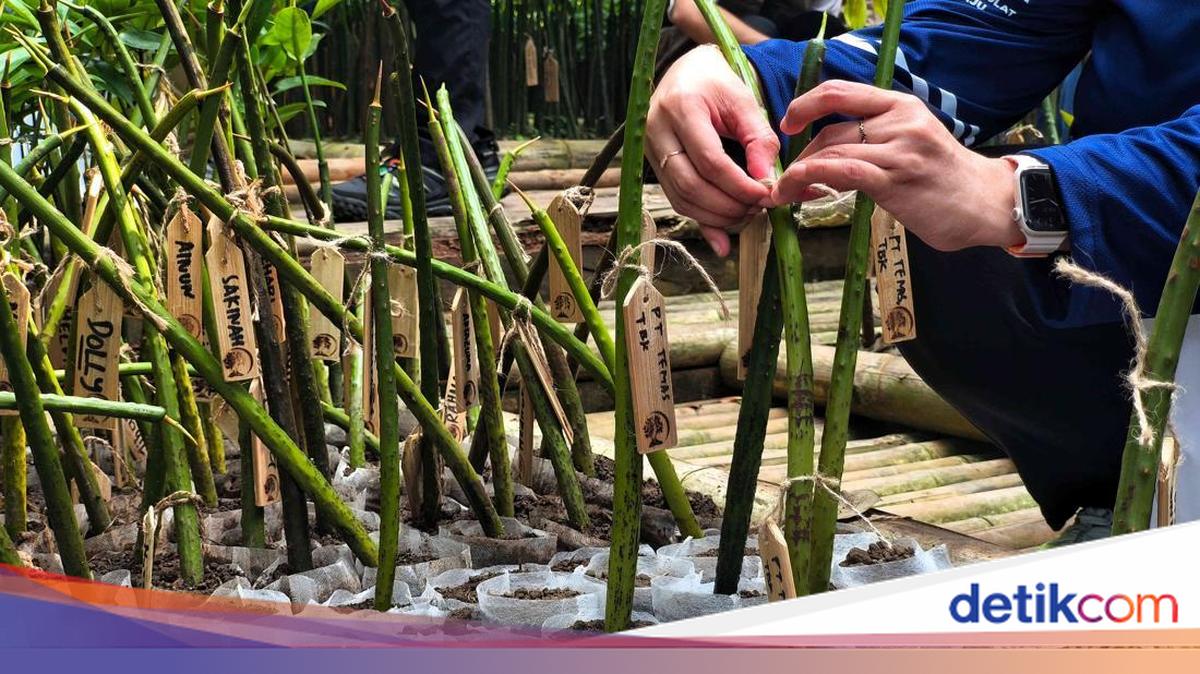 Jakarta Provincial Government’s efforts to encourage the community to recognize sustainable ecotourism