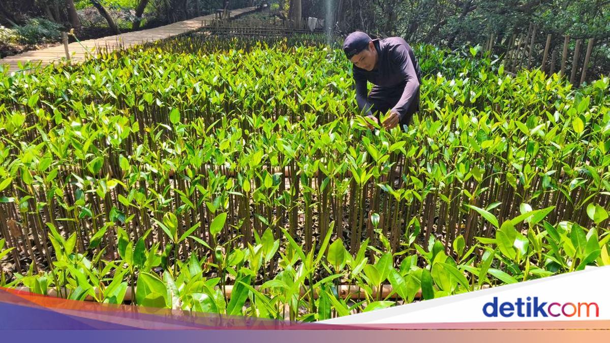 Jakarta Provincial Government promotes ecotourism through the Jakarta Ecotourism Festival