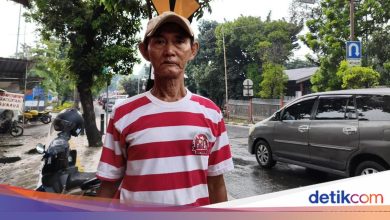 How Grandfather Subari Takes Care of Pythons Named ‘Petir’ for 13 Years