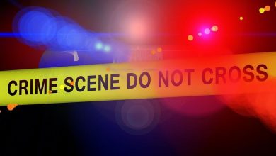 Shocking details in murder on Staten Island: Teen beheaded mother’s boyfriend, scooped out brains with spoon