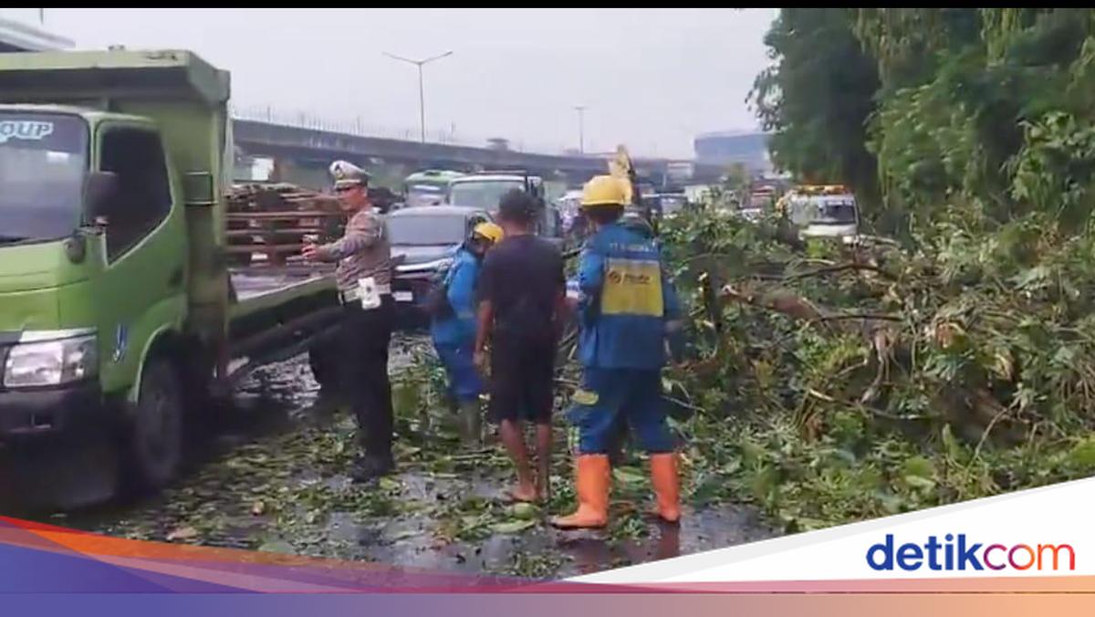 There is a fallen tree at the exit of the Cikampek toll road towards Halim, heavy traffic